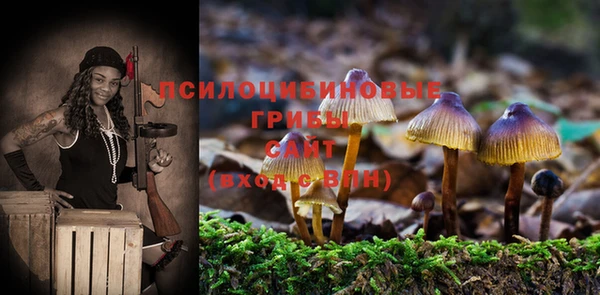 наркотики Михайлов