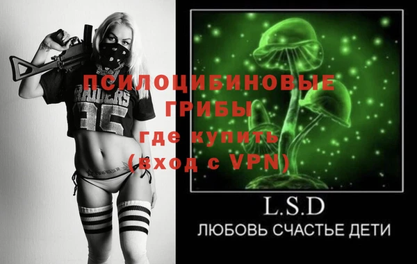 ПСИЛОЦИБИНОВЫЕ ГРИБЫ Михайловка